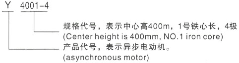 西安泰富西玛Y系列(H355-1000)高压YKS5002-2三相异步电机型号说明